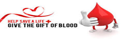 Save a Life Save a Life